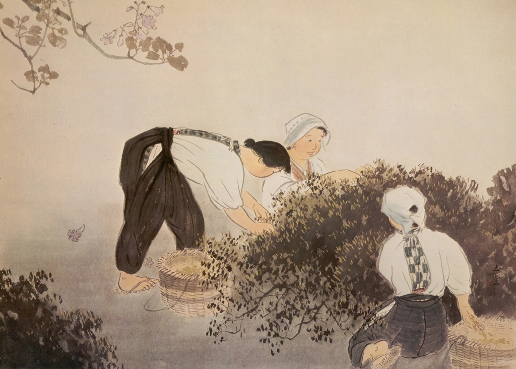 「茶摘」 川合玉堂 （1951年） | 現代日本の美術 1より