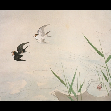 「水四題: 飛燕」 川合玉堂 （1953年）