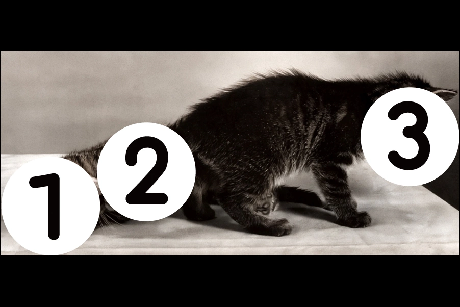 number