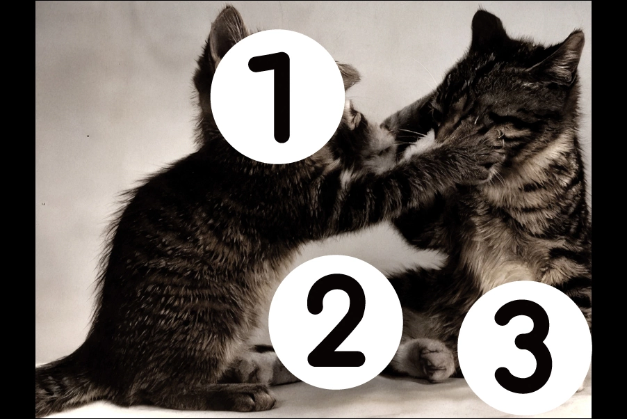 number