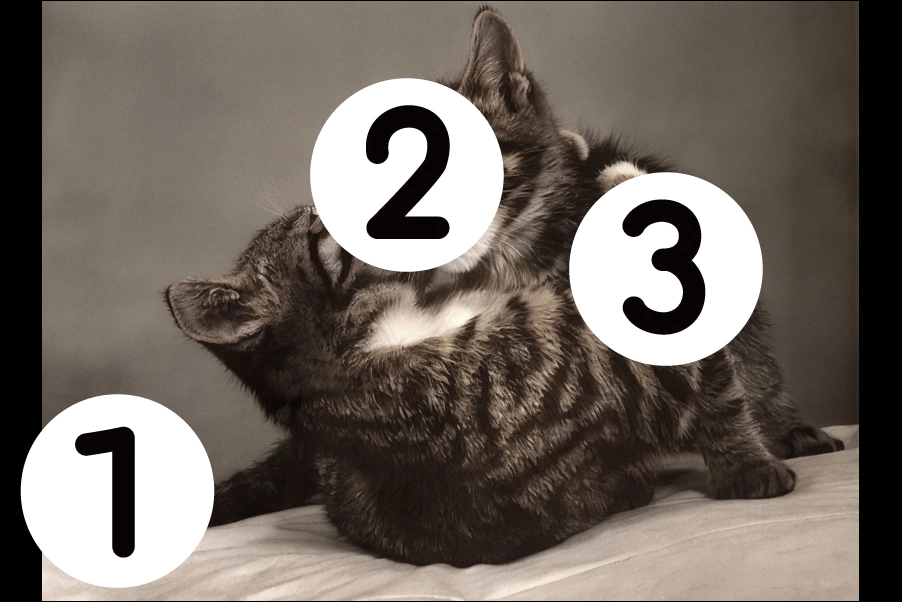 number