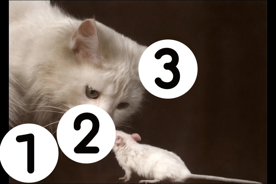number