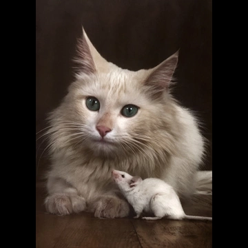 「無題 （仲良しの猫と鼠）」 イーラ