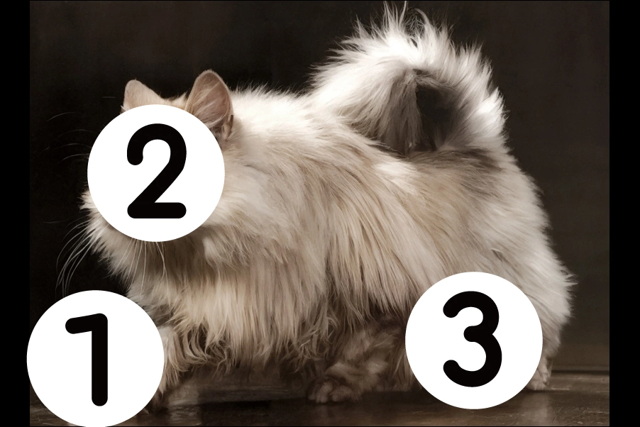 number