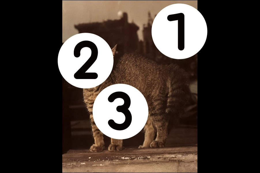 number