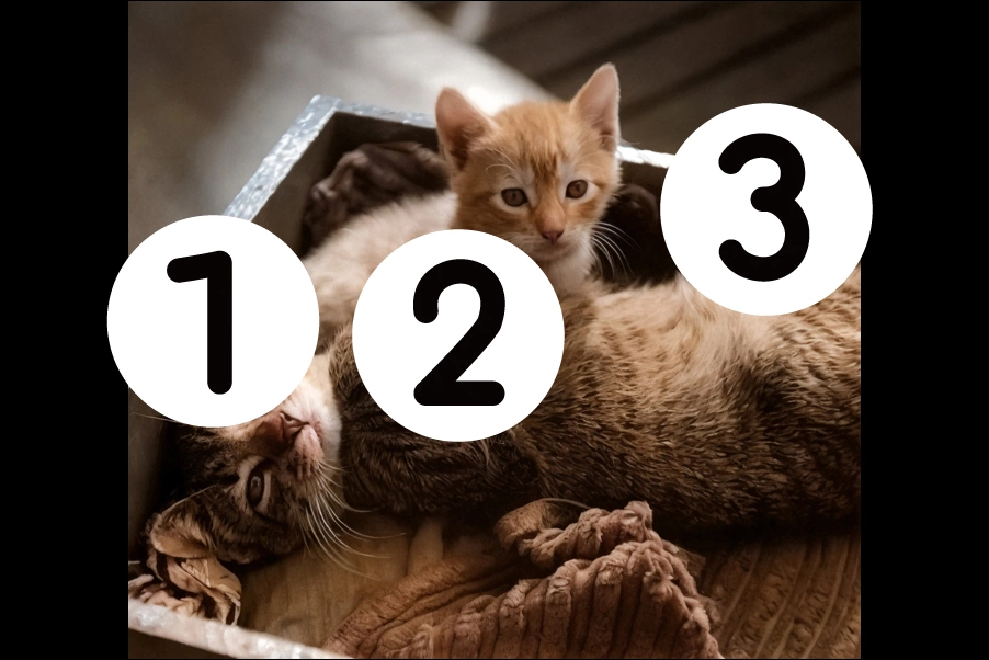 number