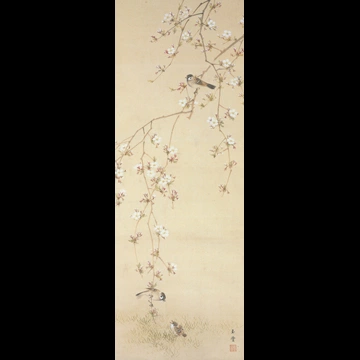 Bird and Cherry Blossoms by Kawai Gyokudō (1890)