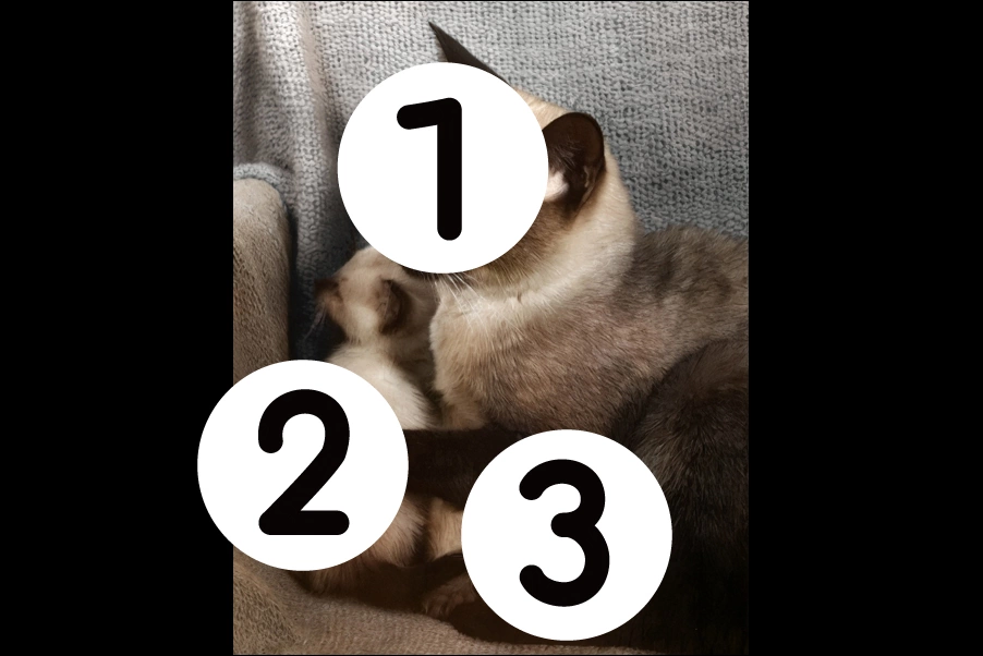 number