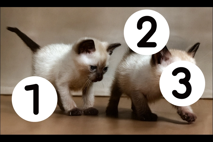 number