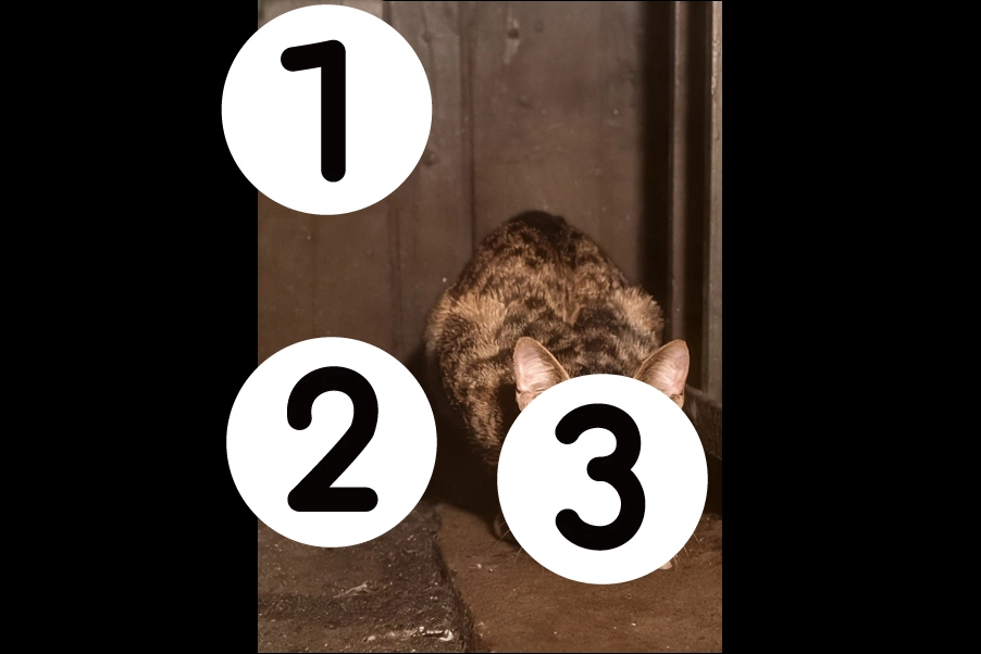 number
