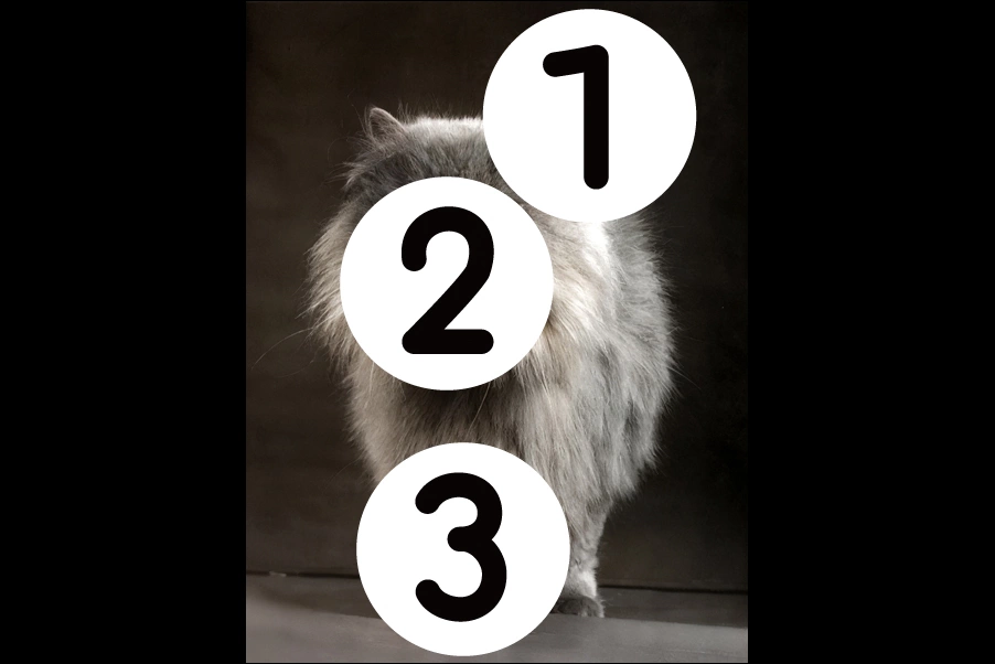 number