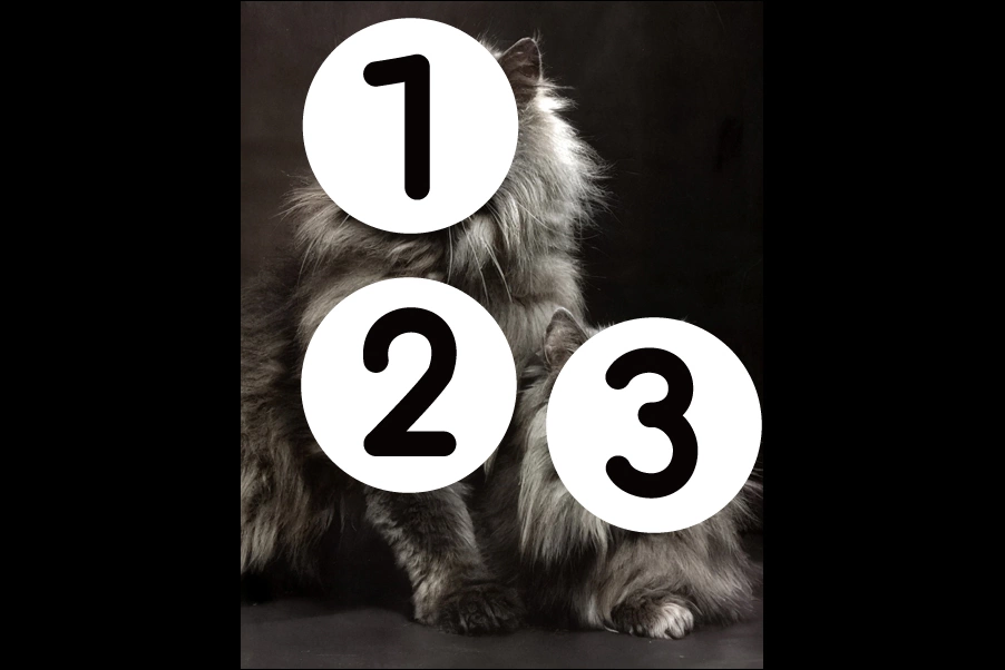 number