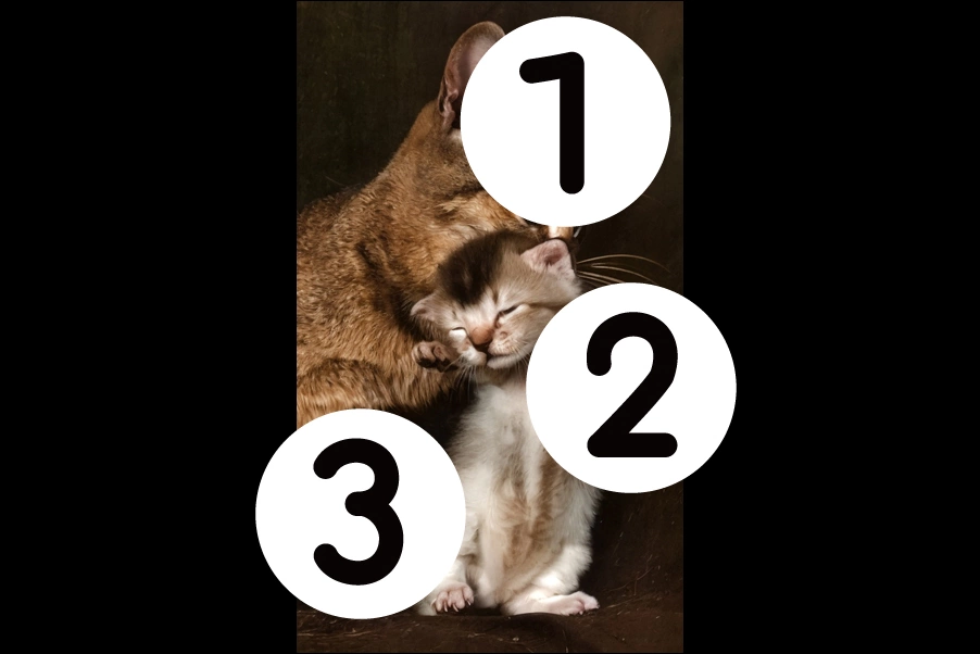 number