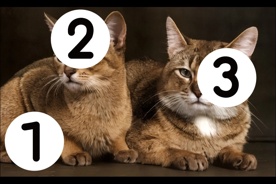number