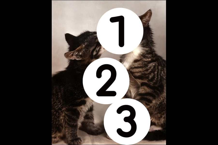 number