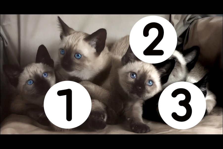 number