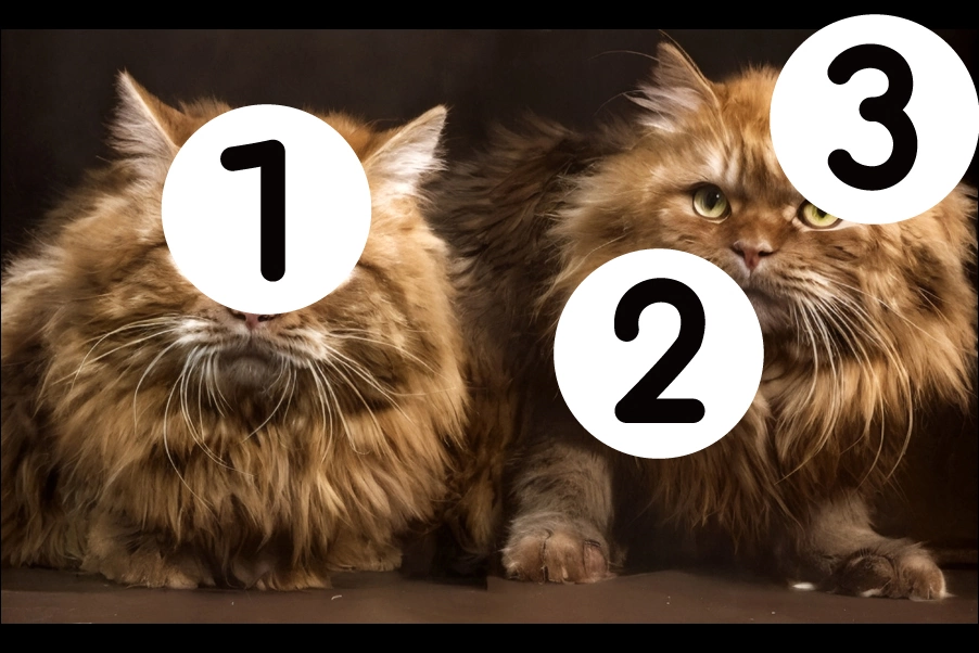 number
