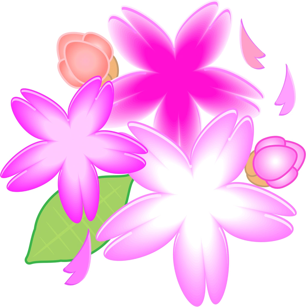 6種類のさくらの花と蕾と葉のイラストとベクター | 3つの桜の花と2つの蕾と1枚の葉