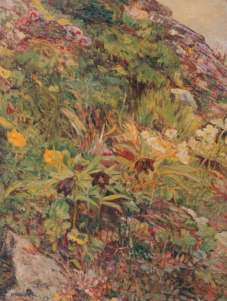 「高山植物」 吉田博 （1913-26年） | 近代風景画の巨匠 吉田博展 清新と抒情より