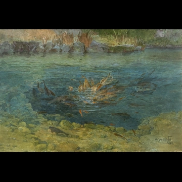 「池の鯉」 吉田博 （1902年）