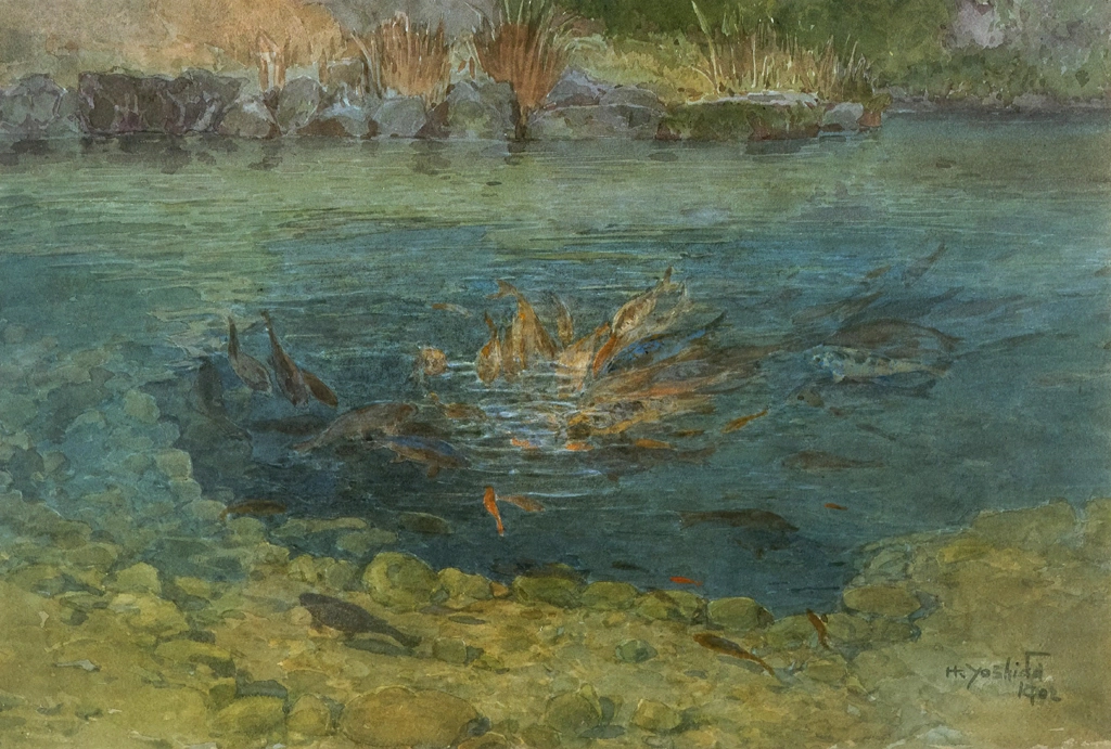「池の鯉」 吉田博 （1902年） | 日本の水彩画15より