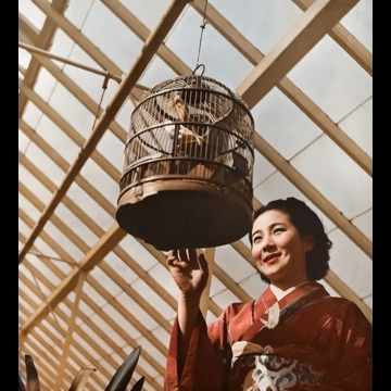 「無題（鳥籠と着物姿の日本人女性）」 尾崎三吉 （1938年以前）