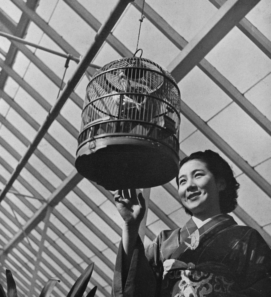「無題（鳥籠と着物姿の日本人女性）」 尾崎三吉 （1938年以前） | ポートレートより