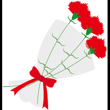 6種類のカーネーションの花束のイラストとベクター