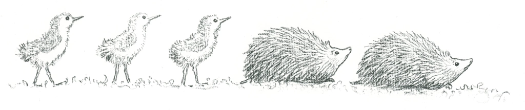 「もりのこびとたち 挿絵 #21 （鳥の雛たちとハリネズミの子供たち）」 エルサ・ベスコフ | 福音館書店