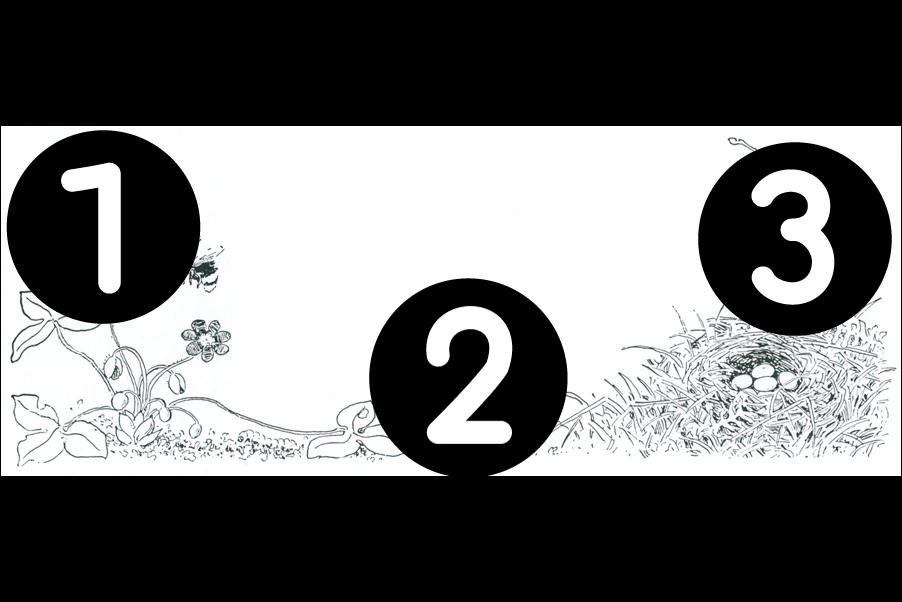 number