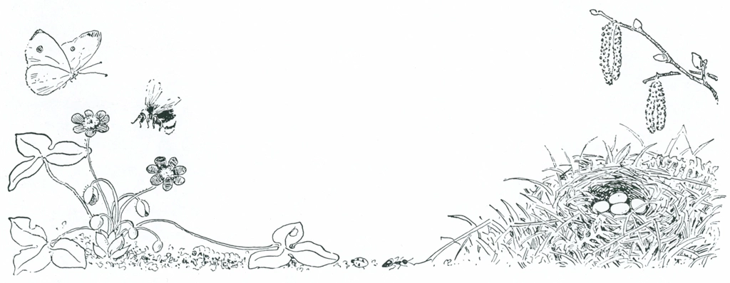「もりのこびとたち 挿絵 #29 （花に集まる虫たちと鳥の巣の卵）」 エルサ・ベスコフ | 福音館書店