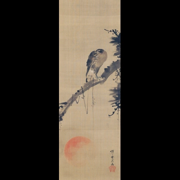 「松に鷹、昇る朝日図」 河鍋暁斎 （1886年）
