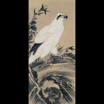「白鷲に猿図」 河鍋暁斎 （1884年）