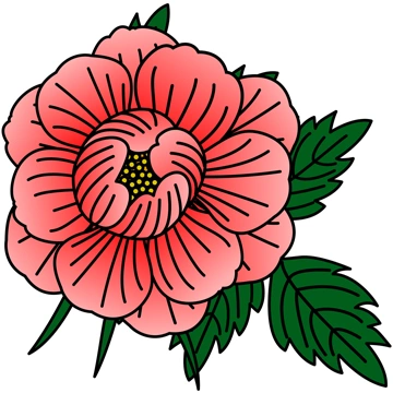 6種類の牡丹の花のイラストとベクター