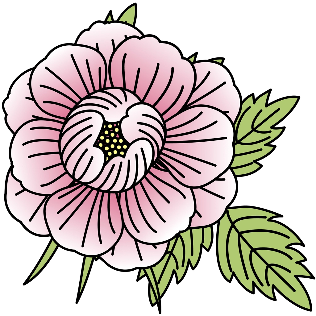 6種類の牡丹の花のイラストとベクター | ピンク色の花と薄緑色の葉