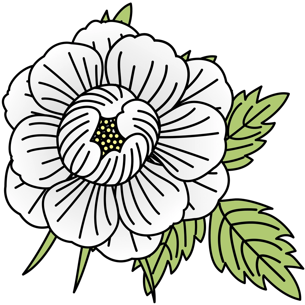 6種類の牡丹の花のイラストとベクター | 白色の花と薄緑色の葉