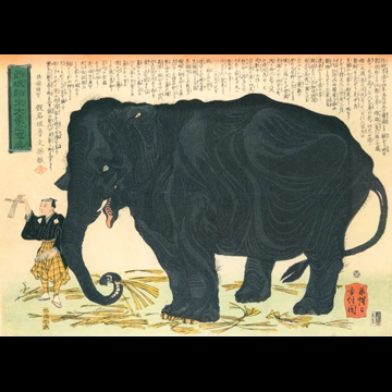 「西域舶来大象之写真」 河鍋暁斎 （1863年）