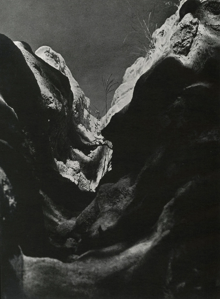 「風景」 棚橋紫水 | アルス写真年鑑 1950より