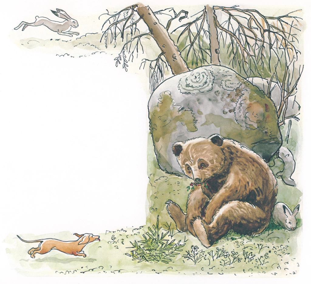 「おうじょさまのぼうけん 挿絵 #7 （熊の後ろに隠れる兎と追いかけて来た犬のペレ）」 エルサ・ベスコフ | 1