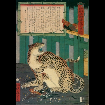 「今昔未見生物猛虎之真図」 河鍋暁斎 （1860年）