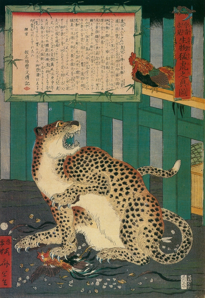 「今昔未見生物猛虎之真図」 河鍋暁斎 （1860年） | 河鍋暁斎版画版本展: 明治の反骨と風刺より