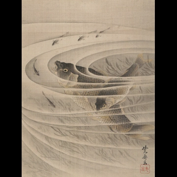 「鯉図」 河鍋暁斎 （1888年）