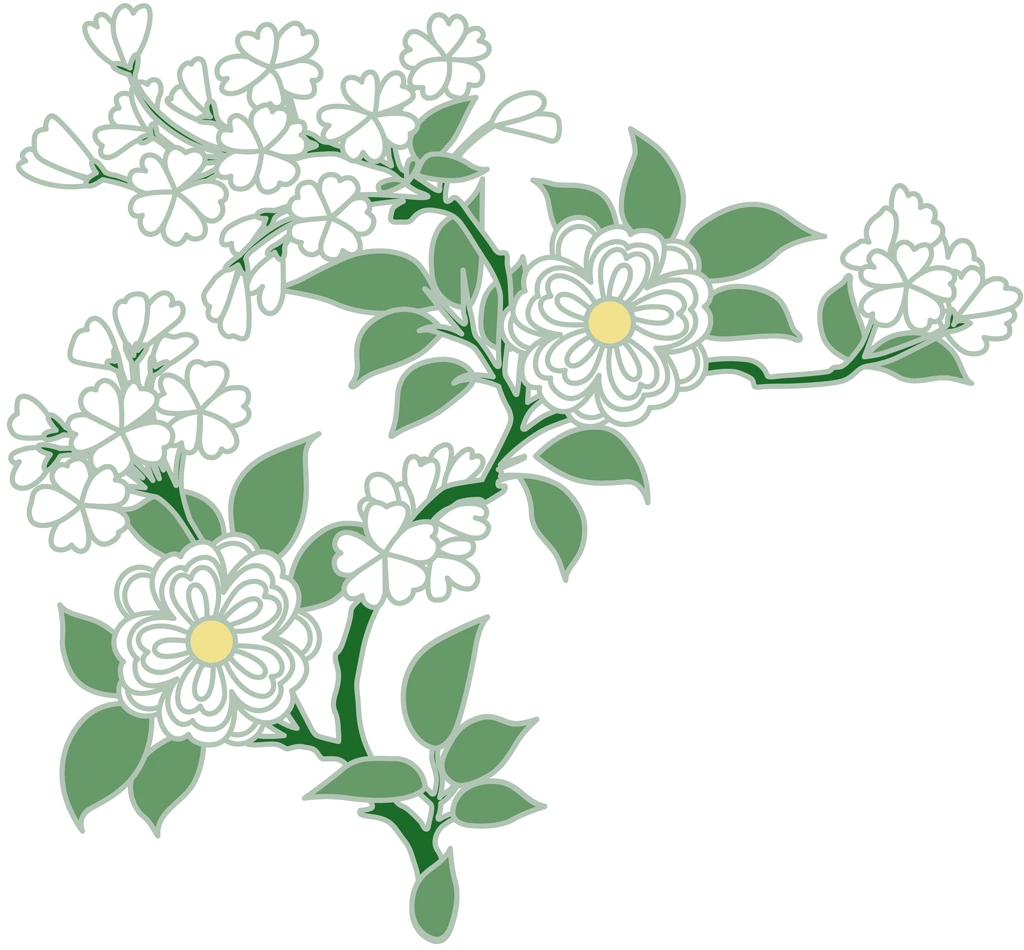 6種類の八重桜のデザインのイラストとベクター | 白色と緑色