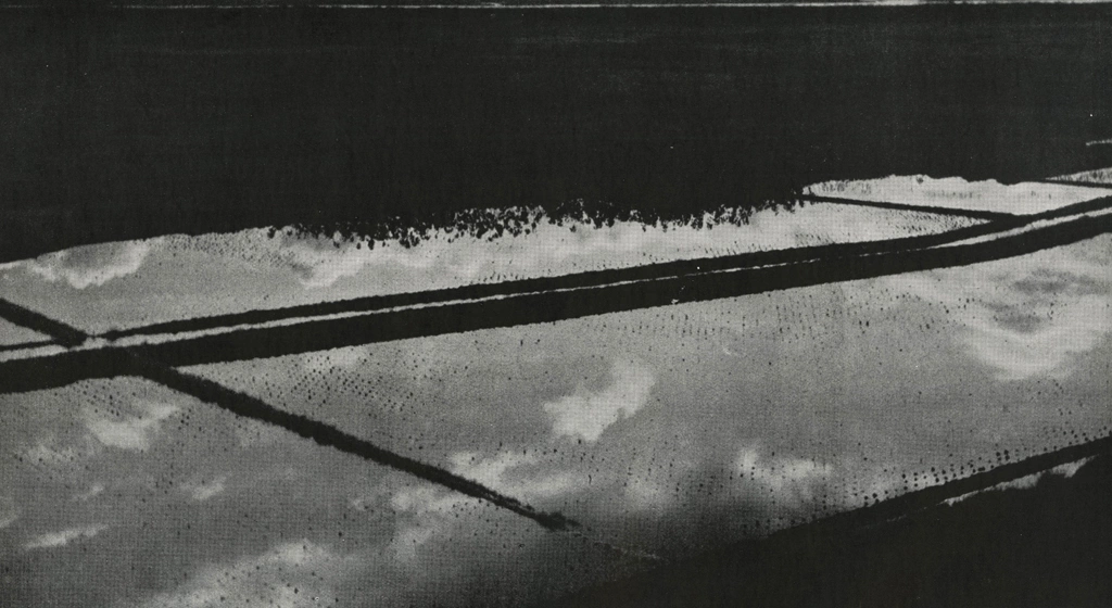 「初冬の田園」 井上喜弘 （1949年） | アルス写真年鑑 1950より