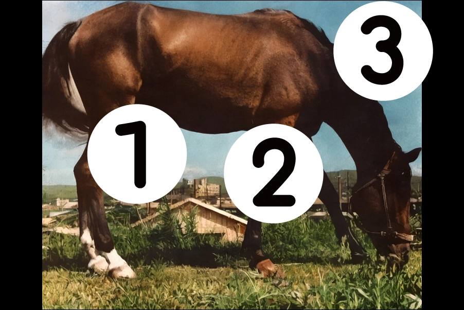 number