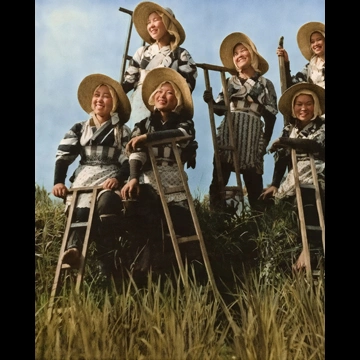 「朗」 岡芹喜代夫 （1949年）