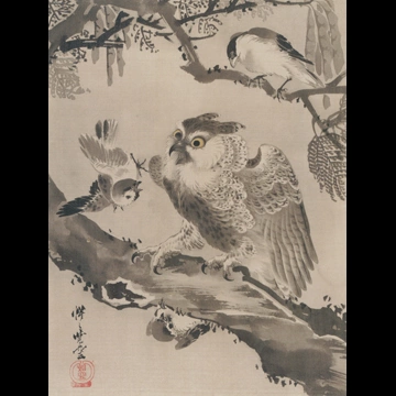 「木菟図」 河鍋暁斎 （1888年）