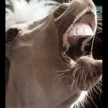 「或る表情」 山田広次