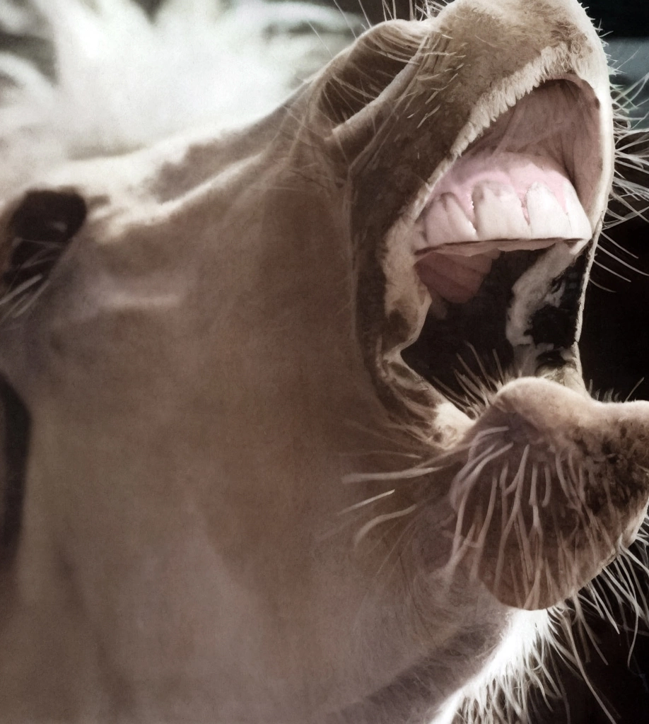 「或る表情」 山田広次 | AIカラー化