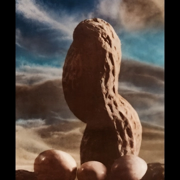 「大いなるオブゼ」 植木昇 （1949年）